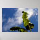 Suche nach coole landschaften poster Baum