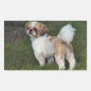 Recherche de shih tzu autocollants Animal