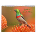 Recherche de afrique calendriers Oiseaux