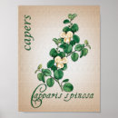 Suche nach der aromatherapie poster Botanisch