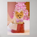 Recherche de caboteur posters Mignon