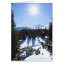 Suche nach wintersonne Landschaft