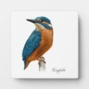 Recherche de pêcheur plaques Nature