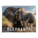 Suche nach elefanten kalender Afrikanisch