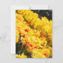 Recherche de croissance cartes postales Nature