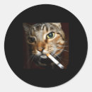 Suche nach katzen humor aufkleber Sarkastisch