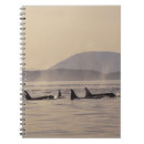 Suche nach orca notizbücher kleine notizbücher Meer