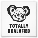 Recherche de humour koala art Drôle