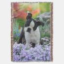 Suche nach boston terrier decken Lustig
