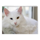 Suche nach pelz kalender Kätzchen