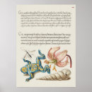 Recherche de illustration botanique posters Plante