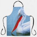 Recherche de pélican blanc tabliers Faune