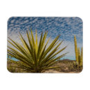 Recherche de le mexique magnets Désert