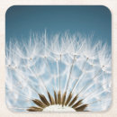 Suche nach samen untersetzer Blume