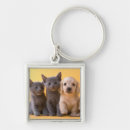 Recherche de chaton porteclés Chiot