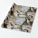 Suche nach otter geschenkpapier Tier