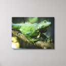 Recherche de lézard art Herbivore