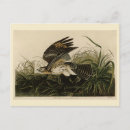 Suche nach vogel im winter postkarten Vogelvogel