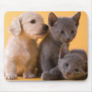 Suche nach russische mousepads Katze