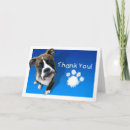 Suche nach boxer karten Hunde