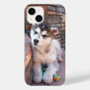 Recherche de puppy iphone coques Pet