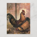 Recherche de poule rouge posters Animaux de ferme