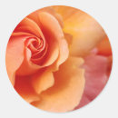 Suche nach weich aufkleber Weiblich