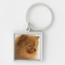 Suche nach einsamkeit schlüsselanhänger Studioschuß