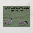 Suche nach harold postkarten Gänse