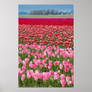 Suche nach tulpen poster Bauernhof