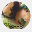 Recherche de cobayes autocollants Pour tous