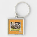 Suche nach glückliche katze schlüsselanhänger Ich kann habe cheezburger