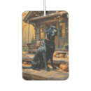 Suche nach labrador retriever autozubehör Tiere