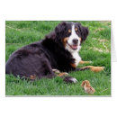 Recherche de bmd Bernais