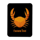 Recherche de crabe magnets Vie marine