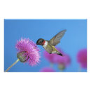 Recherche de animal portraits posters Extérieur