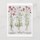 Suche nach hortus postkarten Melcoblock