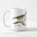 Recherche de mythologie tasses Corbeau