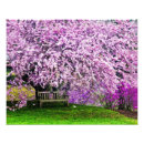 Recherche de banc de jardin posters Plante