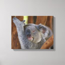 Suche nach koala leinwandbilder Koalgebär