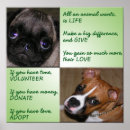 Recherche de aides posters Chiens
