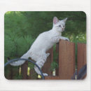 Recherche de chat rayé tapis souris Blanc