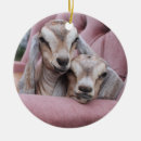 Suche nach avocado ornamente Verzierung