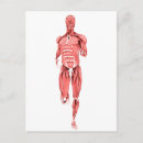 Suche nach muskelgewebe postkarten Medizin