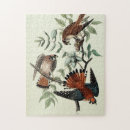 Recherche de hawk puzzles Animaux