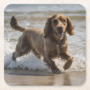Recherche de cocker spaniel dessous de verres Dog