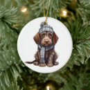 Suche nach deutsch drahthaar ornamente Hund