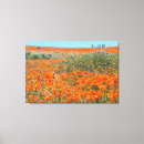 Suche nach mohnblumen leinwandbilder Natur
