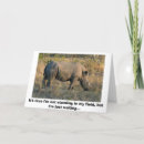 Suche nach rhino karten Horn