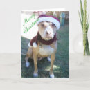Recherche de pit bull christmas vœux cartes Animal